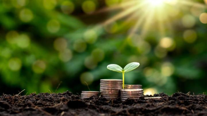 avantages économiques des matériaux biosourcés